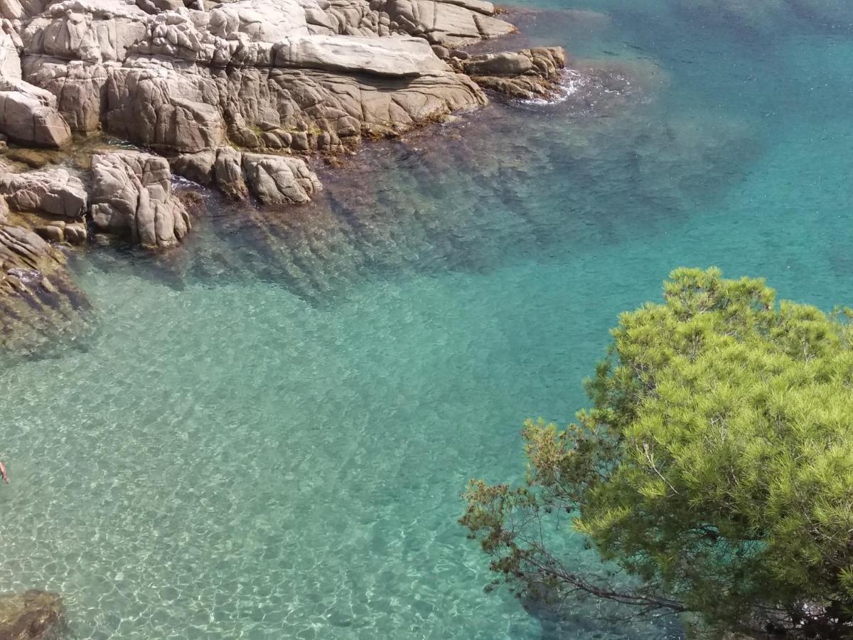 La Bastida De Calonge